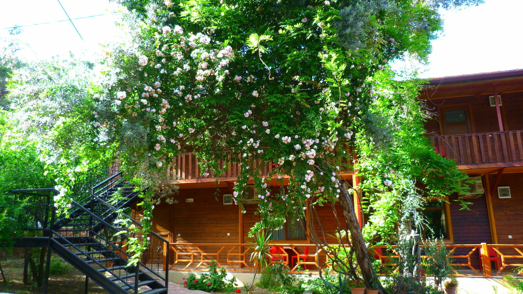 Cirali Simge Holiday Houses ภายนอก รูปภาพ