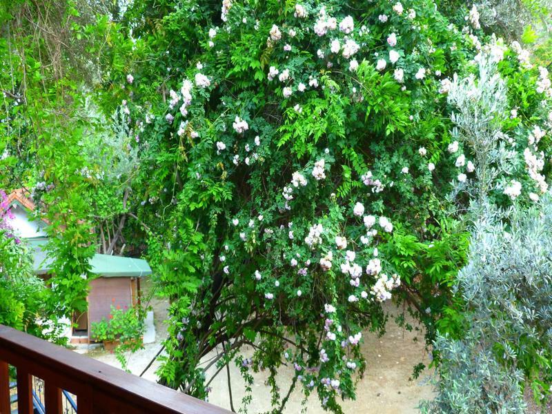 Cirali Simge Holiday Houses ภายนอก รูปภาพ